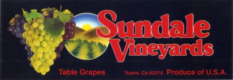Sundale Vineyard